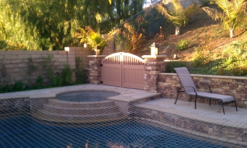 Pool with Electric Gate